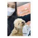 쪼꼬네일 이미지