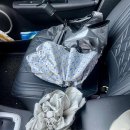 세종 햇빛발전소 | (일상) 25. 7월 한달간의 기록