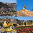 기흥역(경전철) | 용인 에버랜드 아이와 봄 방문기 (ft. 사파리 벚꽃 튤립축제 4월7일 방문)