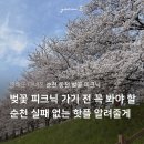 순광상회 네이버블로그
