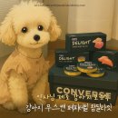 (주)페피테일 | 약사님 제조 강아지무스캔 페피테일 참딜라잇, 특별함 그 자체