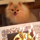 보리공인중개사사무소 이미지