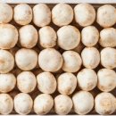 태경농장2 이미지