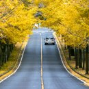 제주대학교 (제대아파트방면) 이미지