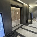 더젠틀호텔 | 강남역피부과 추천 젠틀맥스프로 레이저 제모 남자 풀페이스 후기