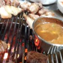 제주 한라돈