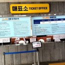 화개정원 관리사무소 | 화개정원 교동도 모노레일 전망대 스카이워크까지 한 번에 보는 여행코스