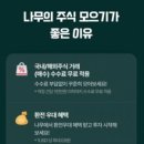 은행나무시장 3 이미지