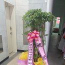 척시원병원 이미지