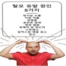 큐사랑염색 이미지