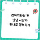 베이비몽 강아지분양 인천청라점 | 인천청라애견분양 알아보며 방문한 베이비몽 강아지분양 인천청라점