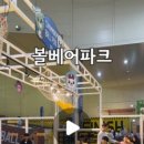 용인대 태비태권도장 이미지