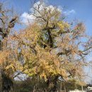 신리공원 이미지