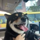 서일동물병원 이미지