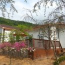 노적애뜰 이미지