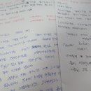 핑크펭귄