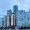 부산 해운대 요트투어 - 야경 선셋 , 폭죽놀이, 요트탈래 내돈내산 탑승 후기