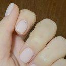 스튜디고