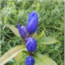 봉덕초등학교 이미지