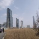 센트럴F&D