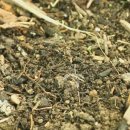 김병호농장 이미지