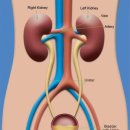 신장치과의원 이미지