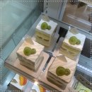 모갸또