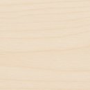 강남 요미독앤캣 강아지 분양 고양이 분양 이미지