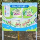 대포숲캠핑장 이미지