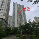 지성온누리약국 이미지