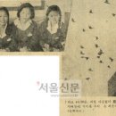 까치반점 이미지