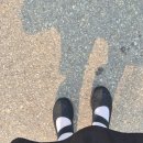 스케쳐스 - 통영시 중앙로 279 | 임산부 신발 추천 스케쳐스 업리프티드 내돈내산 후기