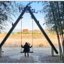 섬진강대나무숲길 이미지