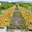 의료법인 새생명의료재단 이미지