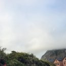 사우스사계 이미지