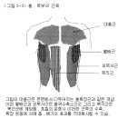 발성에서 본 호흡법 및 호흡종류 이미지