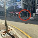 정직폰