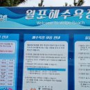 포항 월포해수욕장 방문 후기~ 액티비티 체험 가격, 주차, 샤워시설, 평상 대여 정보 등