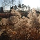 장다리천 이미지