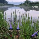 나암천 이미지