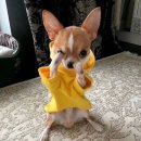 레이디버드씨 | [일상]#06.