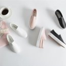 보니따또 이미지