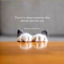 호수약국 네이버블로그