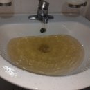 회봉송촌로 이미지