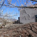 Domus(도무스) 이미지