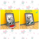 BOB영등포점 이미지