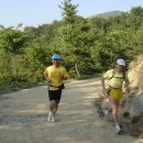 백양산임도 이미지