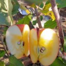 열방농장 이미지