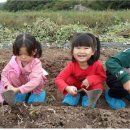 김진욱농장 이미지