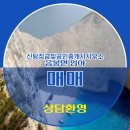 금빛공인중개사사무소 이미지